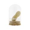 Glazen mini stolp van 4,5 x 6 cm met een handgemaakte pinda en de tekst “Nuts about you